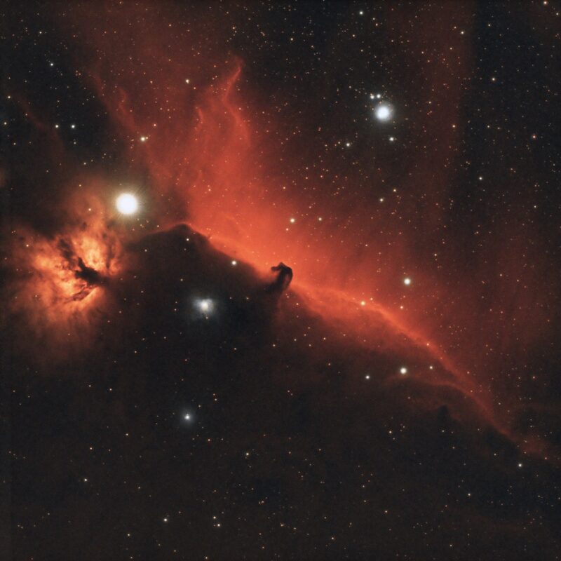 Horsehead and Flame nebulae