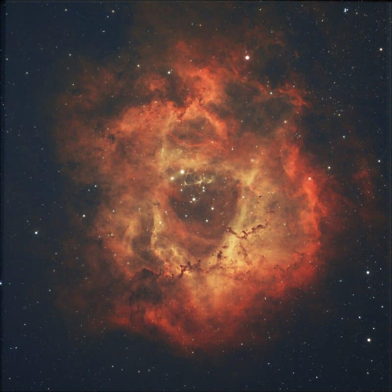 Rosette Nebula