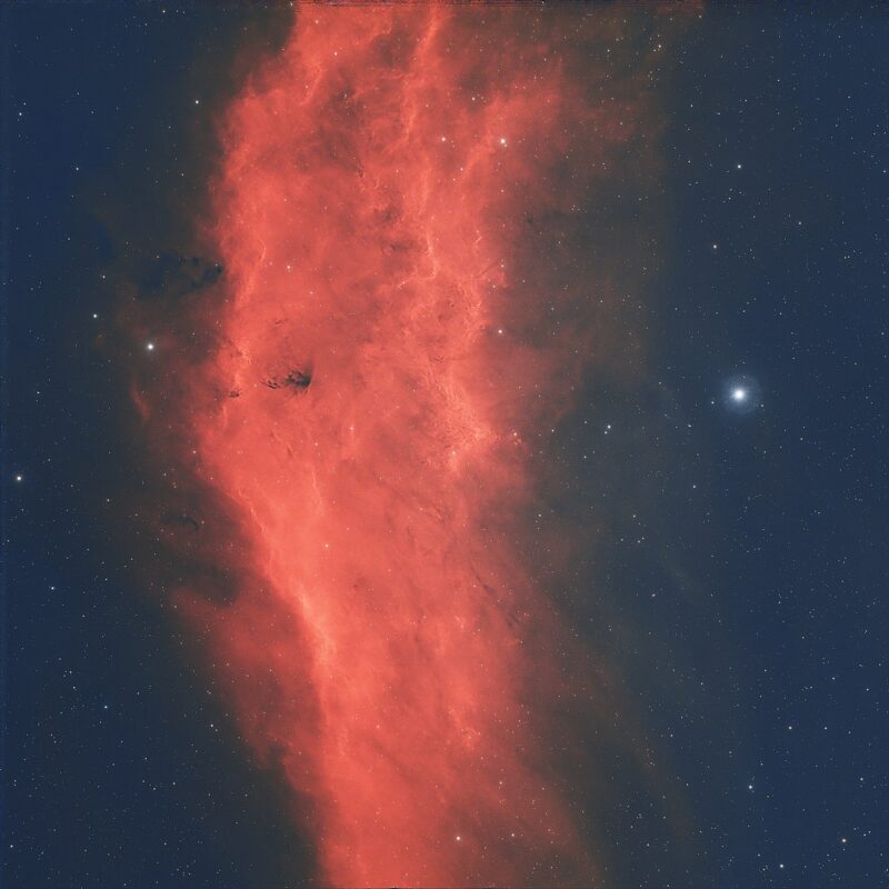 California Nebula